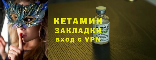 твердый Бородино