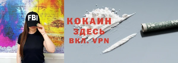 твердый Бородино