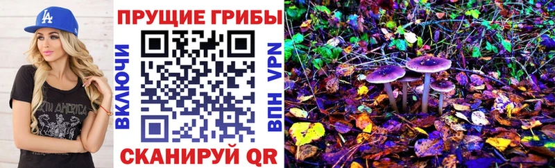 Галлюциногенные грибы мицелий  Кирс 